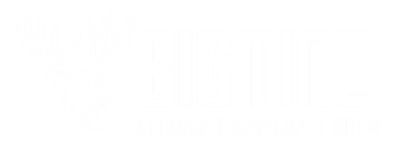 Bigtine