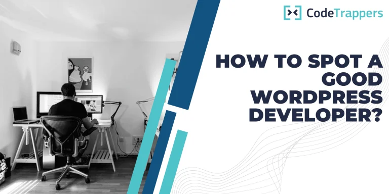 How to Spot a Good WordPress Developer?